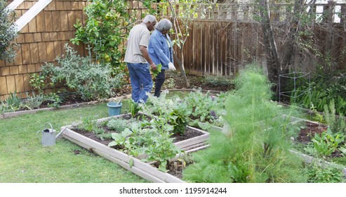 Senior Black Couple Looking At Garden