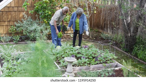 Senior Black Couple Looking At Garden