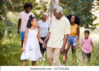 Senior Black Man And Granddaughter Walk With Family In Woods