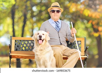 Senior blind gentleman sitting on a bench with his labrador retriever dog, in a park