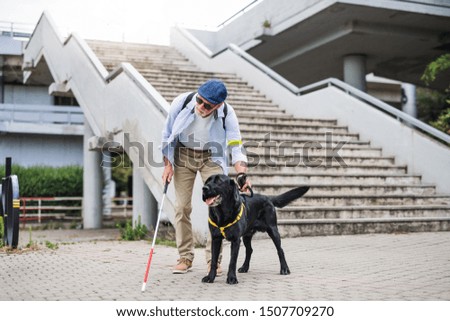 Similar – Image, Stock Photo staircase Town Stairs