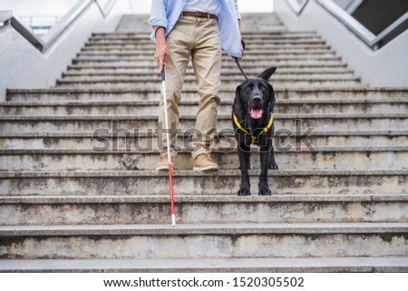 Similar – Image, Stock Photo staircase Town Stairs