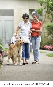 Senior Blind Woman Walking With Help Of Dog And Carer