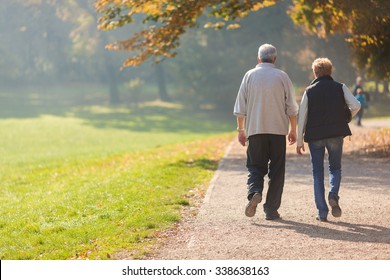 Senior citizen couple taking a walk in a park during autumn morning.  - Shutterstock ID 338638163
