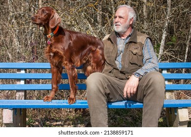 A senior citizen and his beautiful Irish Setter dog are sitting together on a blue wooden bench at the edge of the forest in the spring sunshine and both are looking into the distance.