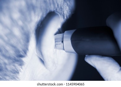 Senior Citizen Man Cutting Inner Ear Hair With Electric Cutter.