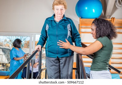 Senior Citizens Working Out Gym Helped Stock Photo 509667112 | Shutterstock