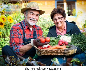 Senior couple with a basket of harvested vegetables in the garden - Powered by Shutterstock