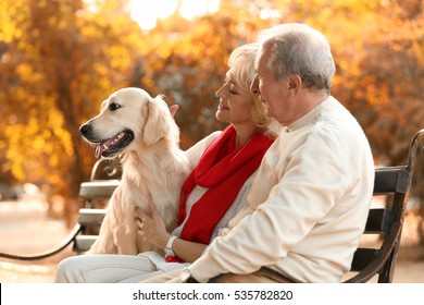 Senior Couple And Big Dog Sitting On Bench In Park