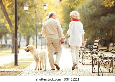 Senior Couple And Big Dog Walking In Park