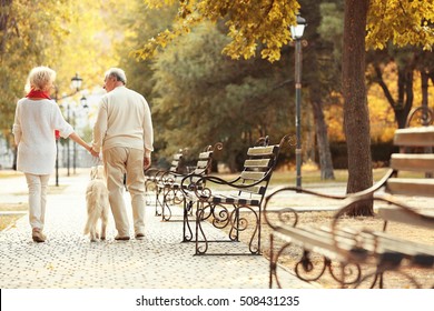 Senior Couple And Big Dog Walking In Park