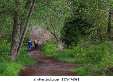 A Senior Couple And Black Dog Walk Along A Winding Path Through The Green Forest