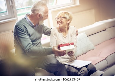 Senior Couple Celebrating Anniversary. Senior Couple With Document And Laptop.