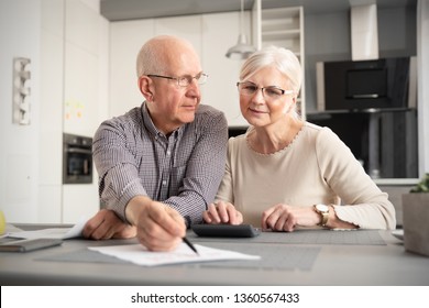 Senior couple discussing investment, checking their bills at home