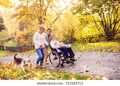 Senior Couple With A Dog And Elderly Woman In Wheelchair Holding A Baby. An Extended Family On A Walk In Autumn Nature.