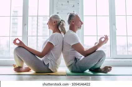 Senior Couple Doing Fitness Training Home Stock Photo 1062165872 ...