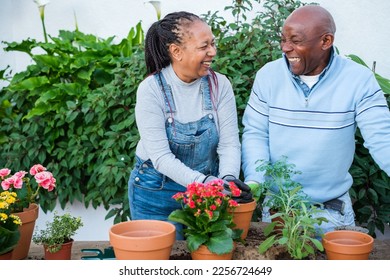 A senior couple doing a gardening activity at home to enjoy their retirement. Concept: gardening, senior couple, hobby - Powered by Shutterstock