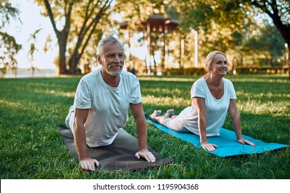 55,268 Senior outdoor fitness Images, Stock Photos & Vectors | Shutterstock