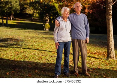 Senior couple embracing in a park - Shutterstock ID 575453332