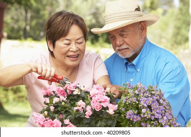 Senior Couple Gardening Together