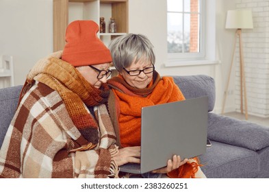 Senior couple gets cold indoors in winter. Sick elderly family using telemedicine chat together. Two old retired people in cozy warm plaids sitting on sofa and watching movie on laptop computer - Powered by Shutterstock