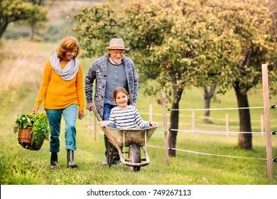 Senior couple with grandaughter gardening in the backyard garden - Powered by Shutterstock