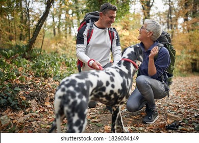 Senior Couple Hiking With The Dog; Active Retirment Concept