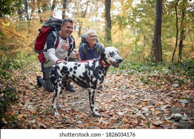 Senior Couple Hiking With The Dog; Active Retirment Concept