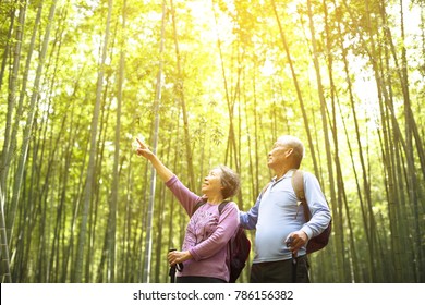 Senior Couple hiking in green bamboo forestÂ  - Powered by Shutterstock