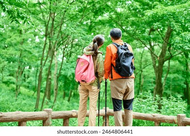 Senior couple hiking in the mountains in early summer - Powered by Shutterstock