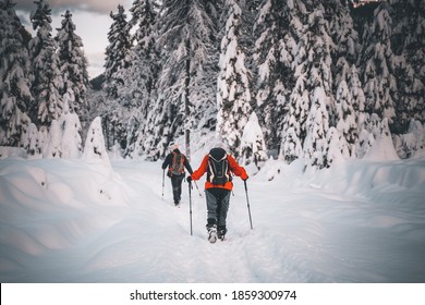 Senior Couple Hiking In Snow With Poles, Old People Walking In Snow Winter Activities