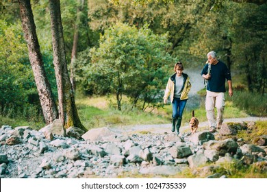 Senior Couple Are Hiking Through The Lake District Together With Their Pet Dog.