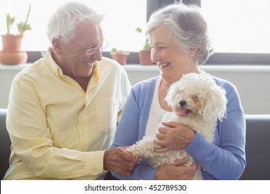 Senior couple holding a dog in a retirement home - Powered by Shutterstock