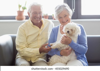 Senior couple holding a dog in a retirement home - Powered by Shutterstock