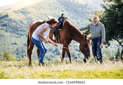 A Senior Couple Holding A Horse Grazing On A Pasture.