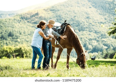 A Senior Couple Holding A Horse Grazing On A Pasture.