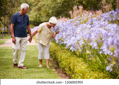 Senior Couple Holding Smelling Flowers On Walk In Park Together - Powered by Shutterstock