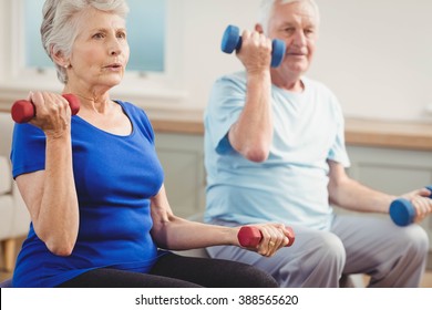 Senior couple lifting dumbbells while sitting on exercise ball at home - Shutterstock ID 388565620