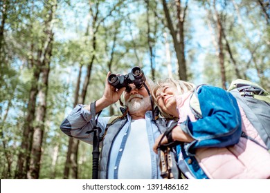 Senior couple looking with binoculars while hiking in the forest. Concept of an active lifestyle on retirement - Powered by Shutterstock