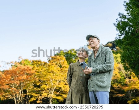 Senior couple looking up at the sky while looking at their smartphone in the park