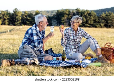 Senior couple make picnic on nature with blanket full of food, he drink vine while she holding red apple and talk to each other - Shutterstock ID 2223502199