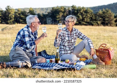 Senior couple in nature enviroment drink vine and make picnic on blanket with food, relaxed and fun - Shutterstock ID 2210187325