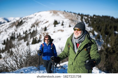 Senior Couple With Nordic Walking Poles Hiking In Snow-covered Winter Nature.