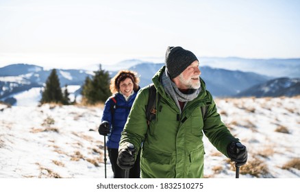 Senior couple with nordic walking poles hiking in snow-covered winter nature. - Shutterstock ID 1832510275