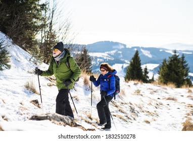 Senior Couple With Nordic Walking Poles Hiking In Snow-covered Winter Nature.