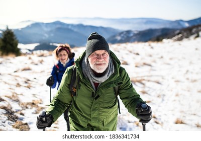 Senior Couple With Nordic Walking Poles Hiking In Snow-covered Winter Nature.