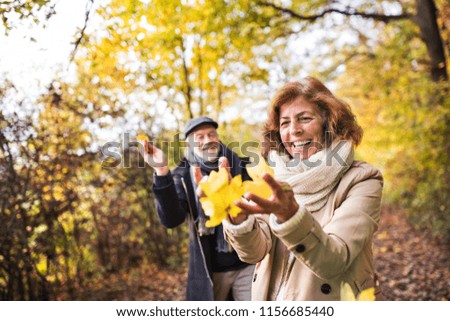 Similar – Image, Stock Photo An autumnal path with trees and light and shadow