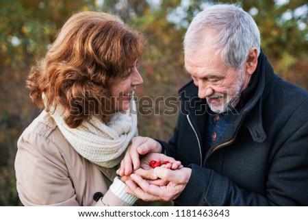 Similar – rose hips Fruit Rose hip