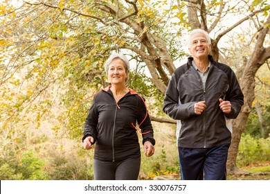 Senior couple in the park on an autumns day - Powered by Shutterstock