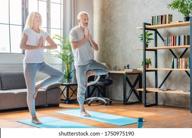Senior couple performing tree pose on yoga mats at home while practicing